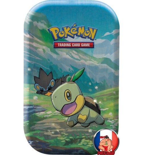 Mini Tin Box Pokémon Pokébox Tortipouss