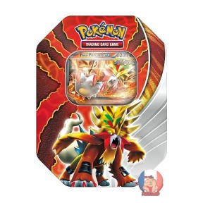 Pokébox Destinée Paradoxe Chef-de-Fer-ex