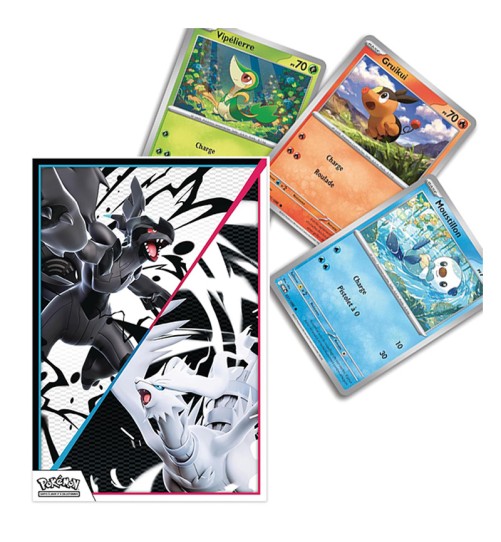 Collection Poster Unys - Foudre Noire & Flamme Blanche