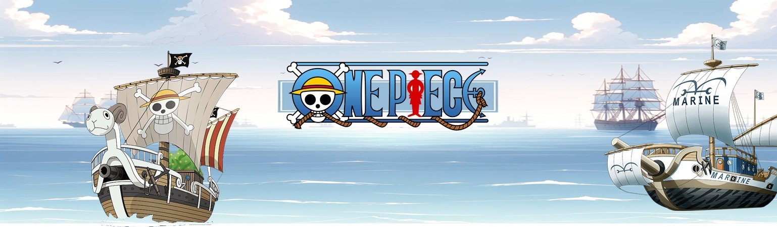 Cartes One Piece : Display, Booster, Coffret et Accessoires | PokeSumo